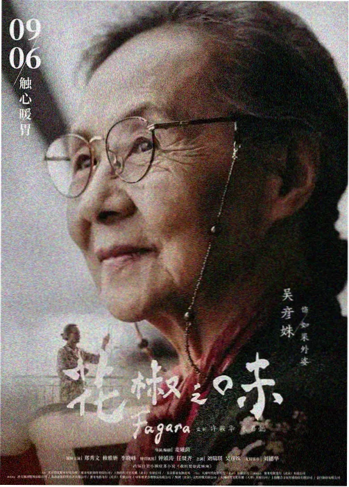 移动银幕运营手册