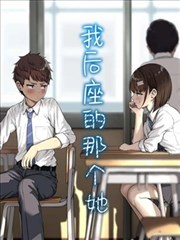 收藏编号体系